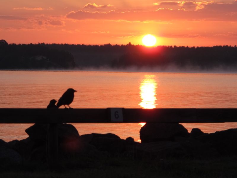 Sunrise at Lake Vänern (5:00 am)