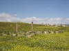 Jerash