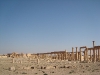 Palmyra